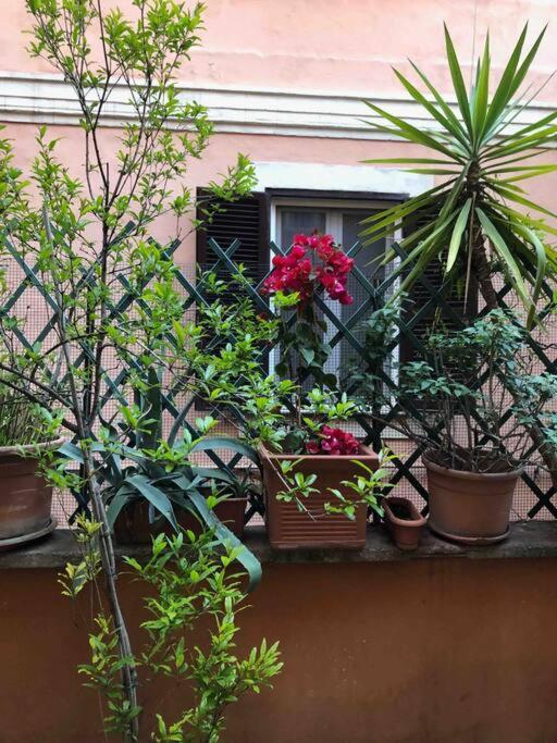 Centro Storico Appartamento Con Terrazza Rome Exterior photo